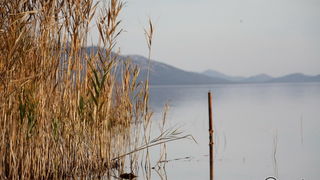 Đir uz Vransko jezero, Foto: Iva Perinić Đir uz Vransko jezero, Foto: Iva Perinić