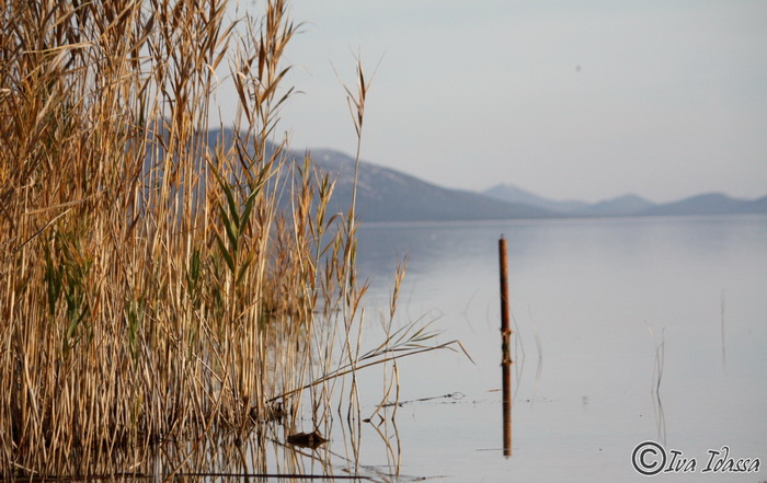Đir uz Vransko jezero, Foto: Iva Perinić Đir uz Vransko jezero, Foto: Iva Perinić
