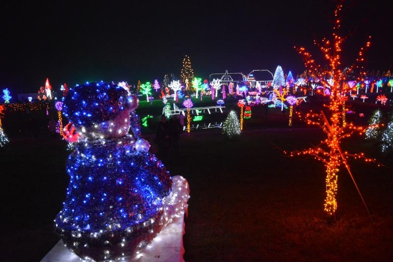 Božićna priča obitelji Salaj s rekordnih 1,88 milijuna lampica. Foto: Damir Špehar/PIXSELL