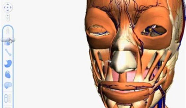 Google 3D vodič kroz tijelo, foto: youtube (tportal.hr)