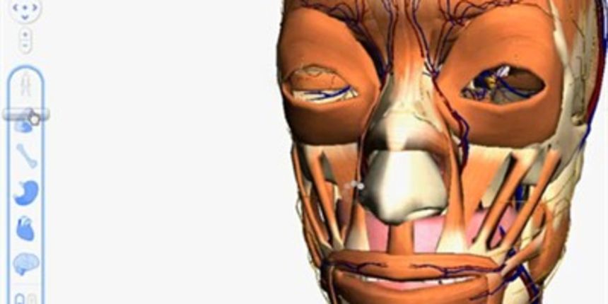 Google 3D vodič kroz tijelo, foto: youtube (tportal.hr) Google 3D vodič kroz tijelo, foto: youtube (tportal.hr)