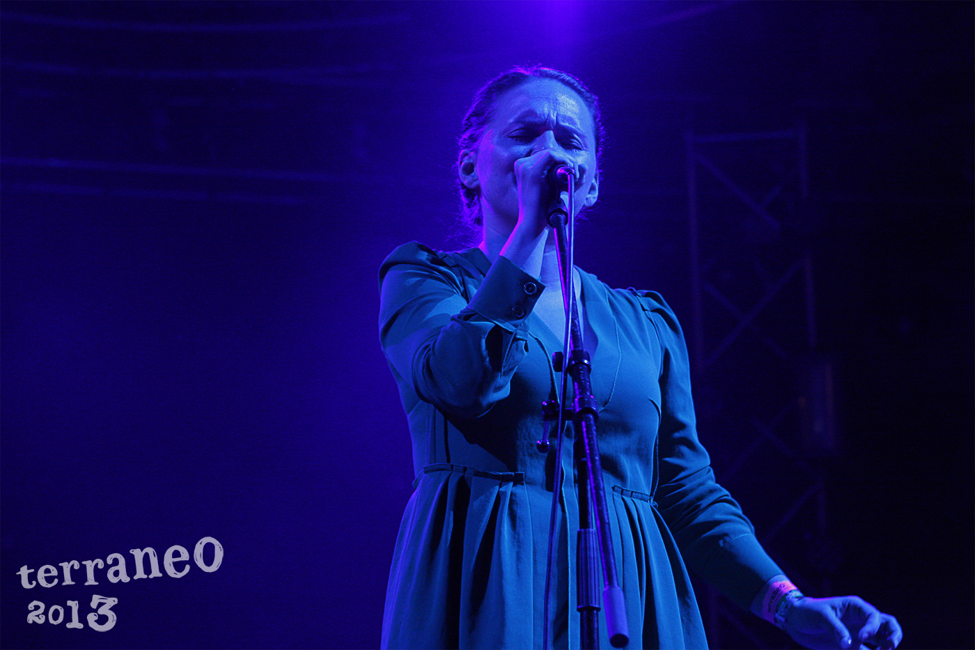 Terraneo 2013