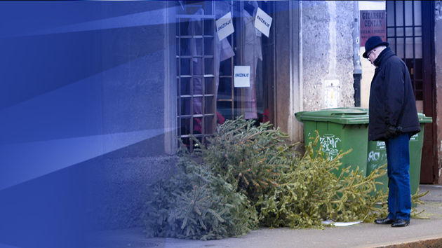 Jelka, božićno drvce