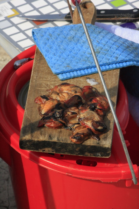 6. Kup Zadarske zupanije u sportskom ribolovu, Foto: Mladen Malik 6. Kup Zadarske zupanije u sportskom ribolovu, Foto: Mladen Malik