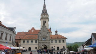 Hodocasce zupljana zupe Bl. Alojzija Stepinca u Krasic, Mariju Bistricu i zagreb, Foto: Darko Dilber
