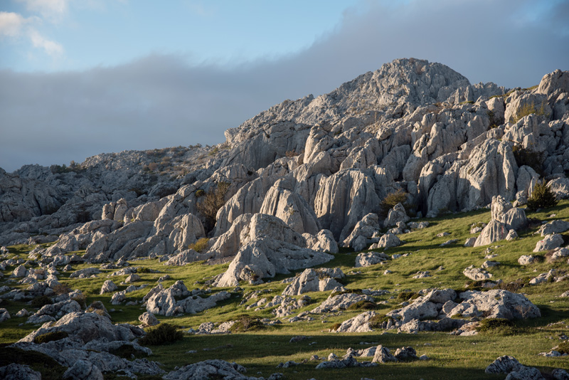 Velebitska katedrala – Tulove grede. Foto: Vinko Pešić Velebitska katedrala – Tulove grede. Foto: Vinko Pešić