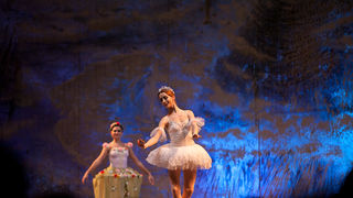 Balet Orasar u Dvorani Kresimira Cosica, foto: Darko Belancic