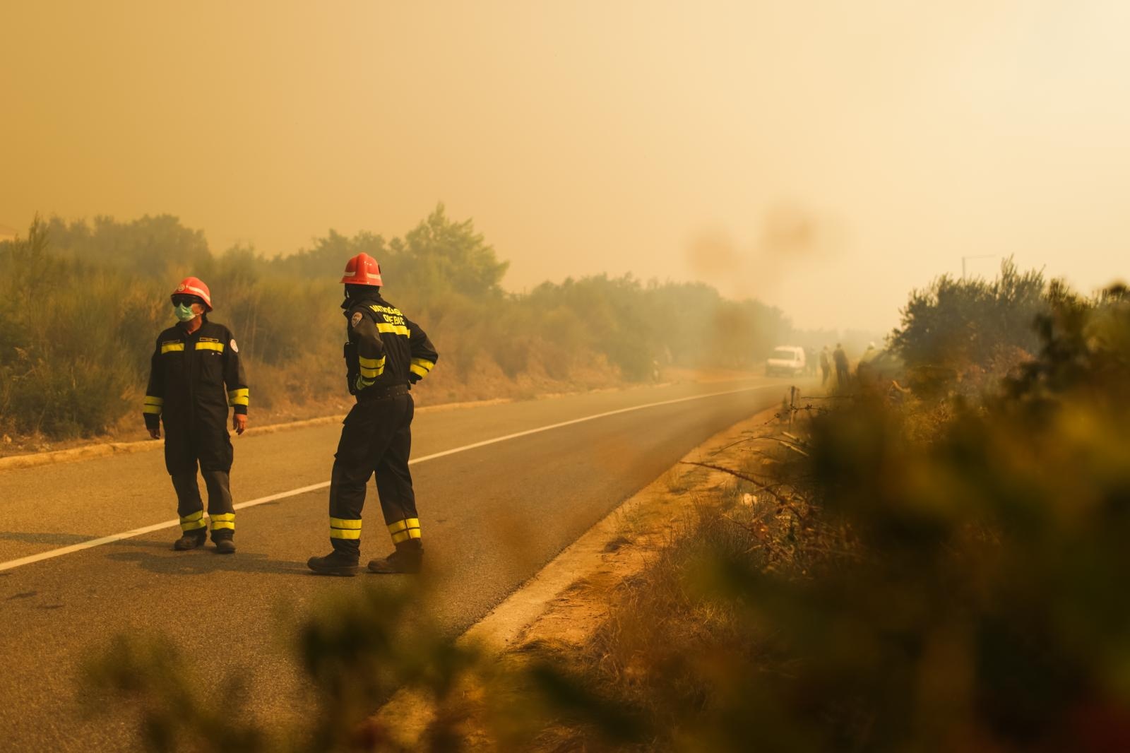 Veliki požar na Pelješcu