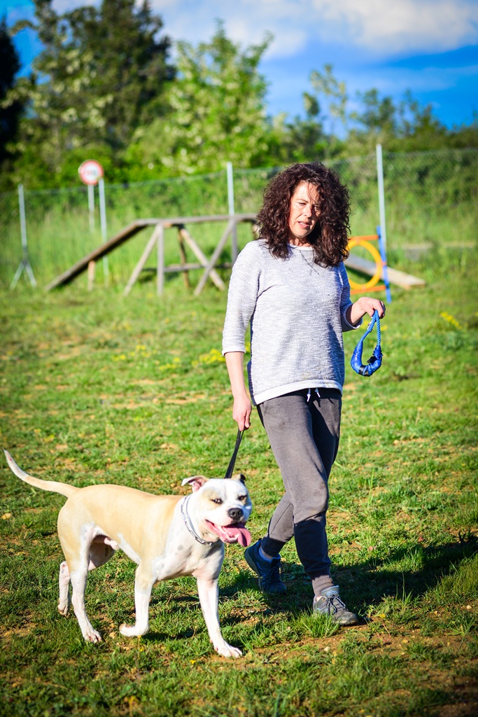 Kinološka udruga Malinois