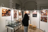 noc muzeja unizd (6)