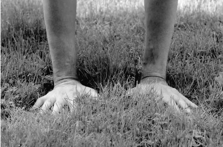 ochtend-wandeling (002)