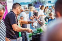 Pakoško zlato @ Pakoštane Pakoško zlato @ Pakoštane