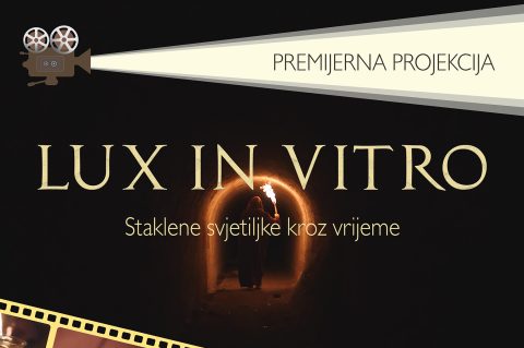 plakat 70×100 LUX IN VITRO
