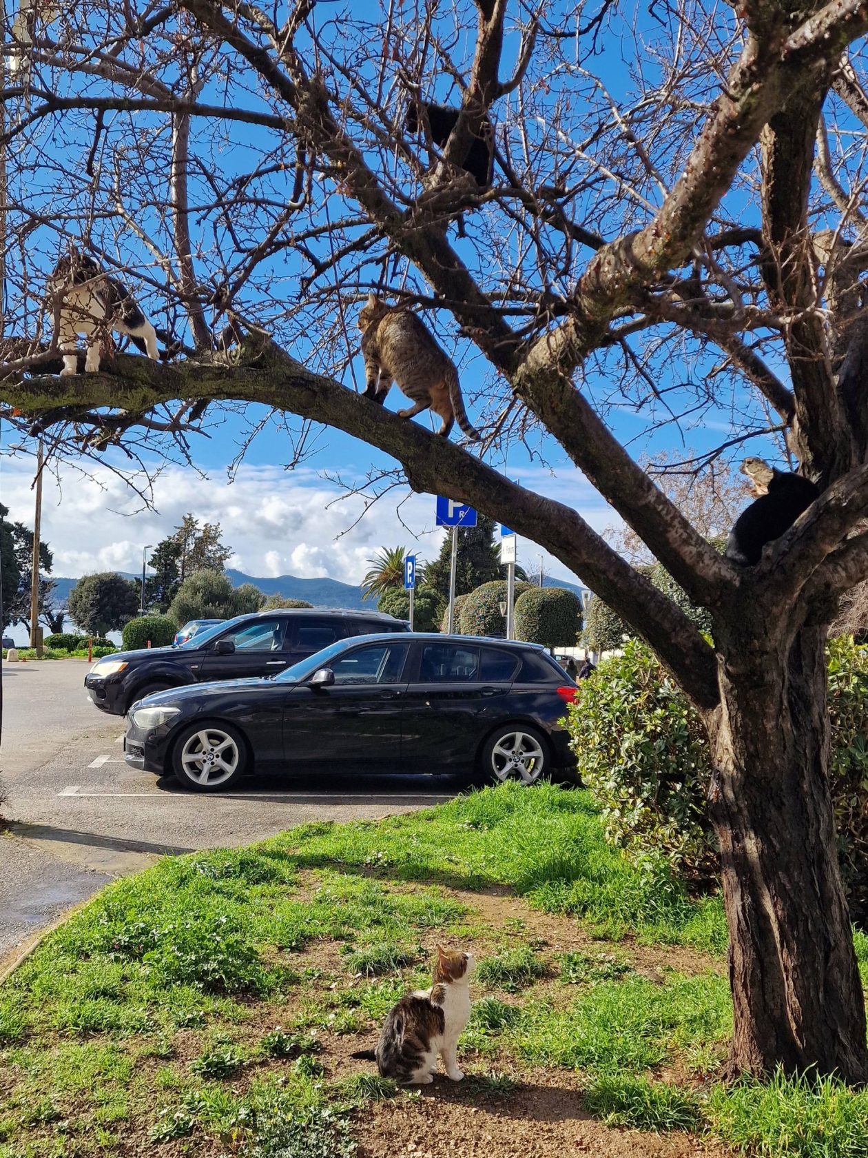 poslije kiše dolazi sunce (14)