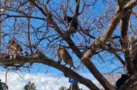 poslije kiše dolazi sunce (14)