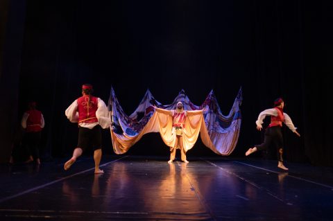 potjeh plesni ansambl