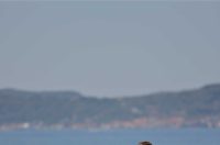 promocija magistara 7-2025 (18) promocija magistara 7-2025 (18)