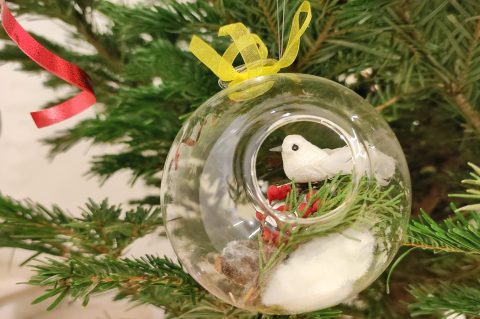 slika božić u mom domu nmz