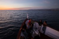 UNIZD Cruise: Brucoši zaplovili u novu akademsku godinu