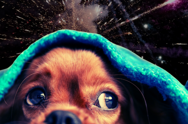 Danas počinju dani pirotehnike, iako se ništa ne slavi!