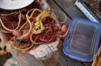 VRSI – 06.08.2025 – Vrška ćakula 2025 VRSI – 06.08.2025 – Vrška ćakula 2025