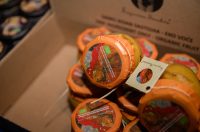 VRSI – 08.08.2025 – Gastro & Wine uz koncert Petra Dragojevića na Vrškoj rivi VRSI – 08.08.2025 – Gastro & Wine uz koncert Petra Dragojevića na Vrškoj rivi