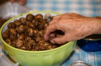 Materin pijat @ Vrsi Materin pijat @ Vrsi