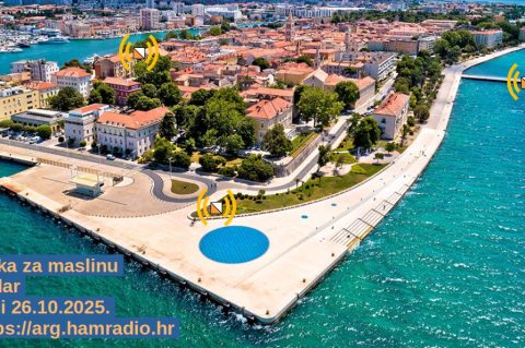 utrka musapstan lov na kunu  utrka za maslinu